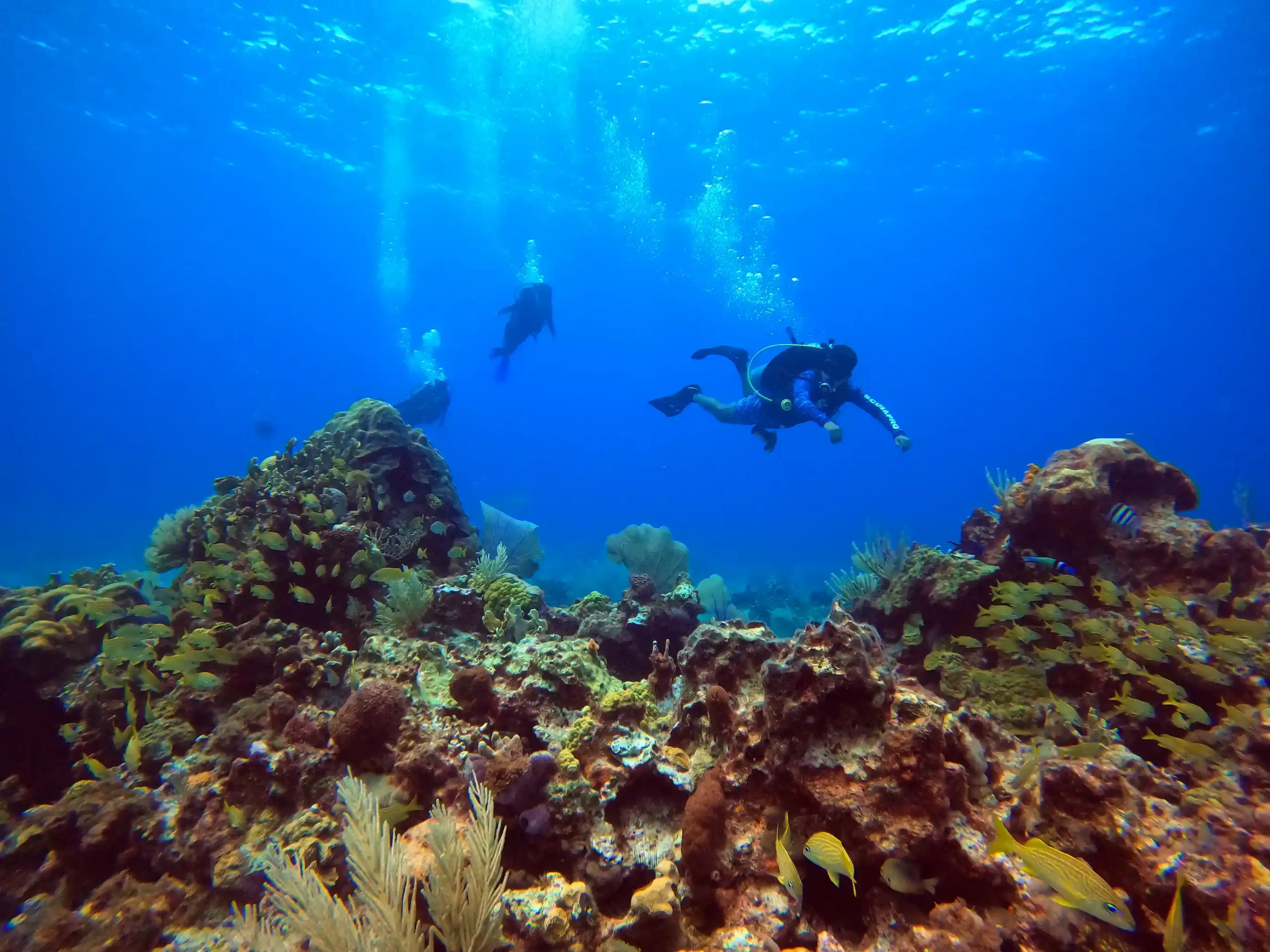 Buceador en caverna subacuática iluminada por haces de luz natural con formaciones rocosas y visibilidad cristalina<br />
