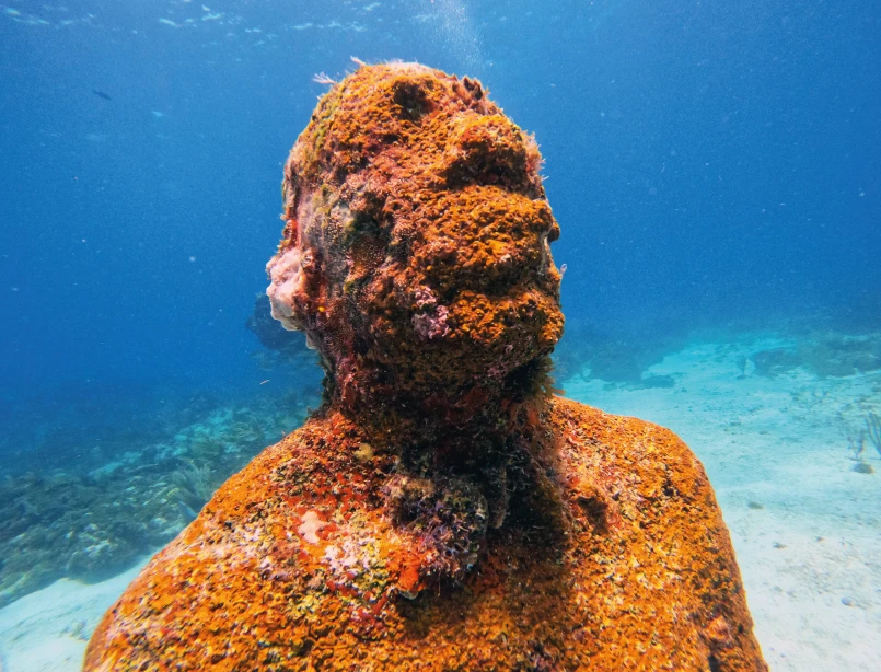 Escultura submarina de MUSA en Cancún cubierta de coral