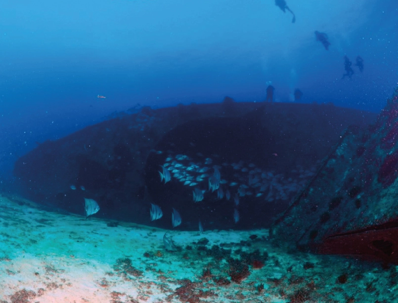 Sitio de buceo en pecio en Cancún con peces nadando alrededor del casco